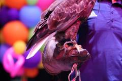 IMG_2345